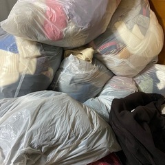 岡山　古着 衣類　1袋(45L)500円　袋売り　 の画像