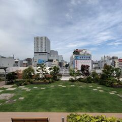 大宮で平日午前中、身近な公園で談笑しよー！