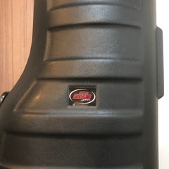 キャディバッグ輸送用SKBトラベルハードケースの画像