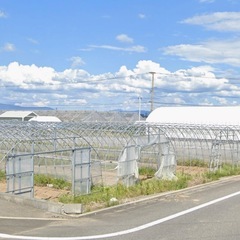 農用ビニールハウス