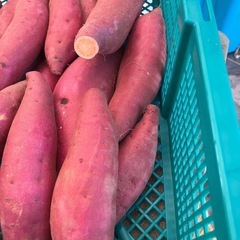 農家直送　さつまいも　5kg前後　新鮮❗️甘い‼️うまい‼️お米の代わりにどうぞ！41の画像