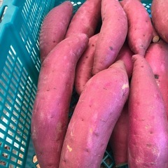 農家直送　さつまいも　5kg前後　新鮮❗️甘い‼️うまい‼️お米の代わりにどうぞ！43の画像