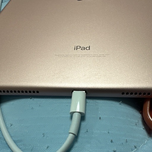 iPad Pro