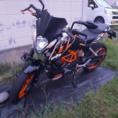 ktm390 デュークの画像
