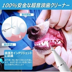 犬用歯ブラシ USB充電式 犬歯ブラシ 犬歯ブラシ小型犬 猫用歯ブラシ 超音波の画像