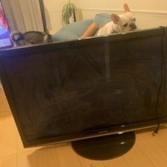 Panasonic TV 2009年　の画像