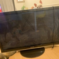 Panasonic TV 2009年　の画像