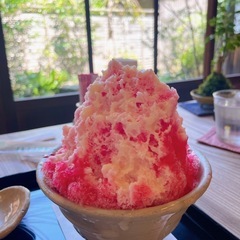 朝の宮島の浜を綺麗にしませんか？ - メンバー募集