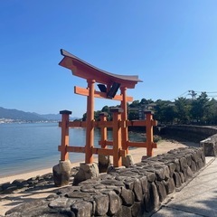 朝の宮島の浜を綺麗にしませんか？ − 広島県