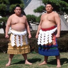 大相撲が好きな友達を募集します - 府中市