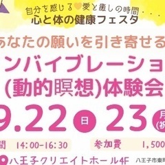 あなたの願いを引き寄せる!ブレインバイブレーション瞑想 (動的瞑...