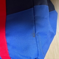 コストコ保冷バック　　の画像