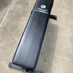 ウエイトトレーニング　ベンチプレス　ダンベルプラスの画像