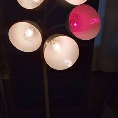5灯 照明の画像