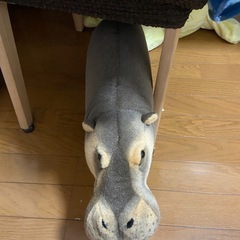 カバのぬいぐるみ
