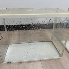 GEX水槽セット9/16までの画像