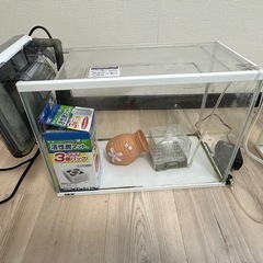 GEX水槽セット9/16までの画像