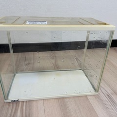 GEX水槽セット9/16までの画像