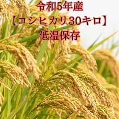 1袋限定‼️令和5年産【コシヒカリ30キロ玄米】