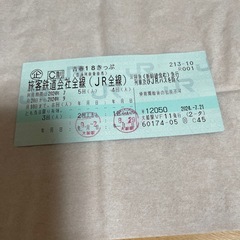 青春18きっぷ　残り3回分　有効期限9/10まで　