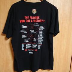 美品  阪神タイガース 2003 リーグ優勝 記念Tの画像