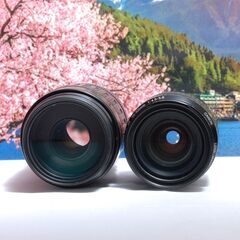 初心者におすすめ Canon Kiss X2 ダブルレンズキット SDカード付きの画像
