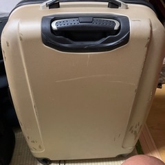 バック　　大