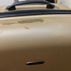 バック　大