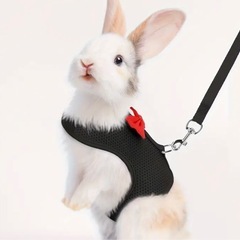 うさぎ用ハーネス　Sサイズ
