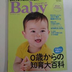プレジデントBaby