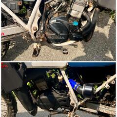 ホンダ　MTX50R AD06 2スト　水冷　NS1エンジンの画像