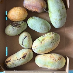 ポポー　1キロ