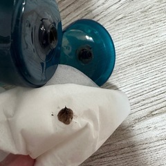 【⠀未使用に近い】ルプルプカラートリートメント☆アッシュブラウンの画像