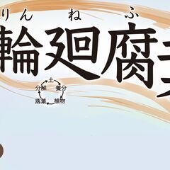 自家栽培のはっさくの苗をお売りします。の画像