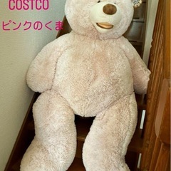 コストコ　ピンク　くま　ねいぐるみ