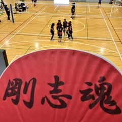 小学生女子のミニバレーボールクラブです!の画像