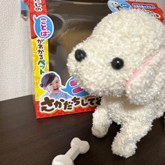 ここちゃん、24このとくぎができるの画像