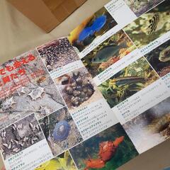 『水辺の生きもの』本の画像