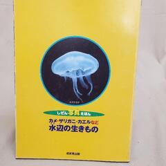 『水辺の生きもの』本の画像