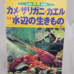 『水辺の生きもの』本