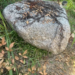 報酬あり 庭石 岩石 ロックガーデン 大きな石の画像