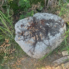 報酬あり 庭石 岩石 ロックガーデン 大きな石の画像