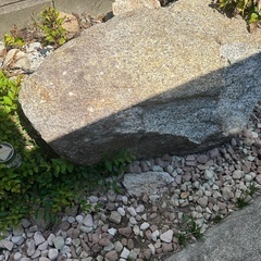 報酬あり 庭石 岩石 ロックガーデン 大きな石の画像