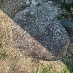 報酬あり 庭石 岩石 ロックガーデン 大きな石の画像