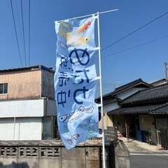 オロチメダカ販売