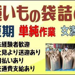 【短期☆9月下旬～12月中旬】種いもの袋詰め〈女満別〉