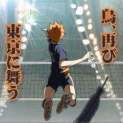 漫画・アニメの「ハイキュー!!」について話せる方