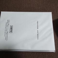 鉄拳6コレクターズボックスの画像