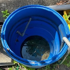 100ﾘｯﾄﾙドラム水槽自作雨水貯水の画像