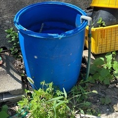 100ﾘｯﾄﾙドラム水槽自作雨水貯水の画像